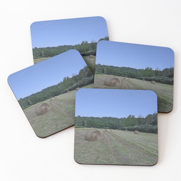Item preview, Hay in the Field Shot 2 designed and sold by HootenannyPhoto.