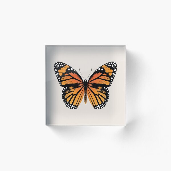 Monarch Butterfly | Vintage Butterflies | Acrylic Block