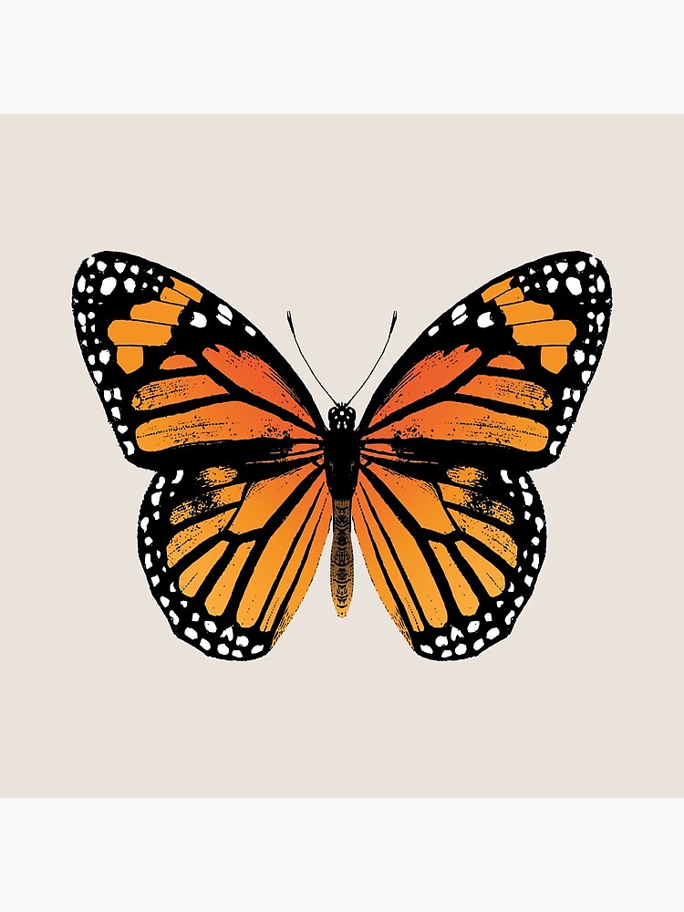 Monarch Butterfly | Vintage Butterflies | by EclecticAtHeART