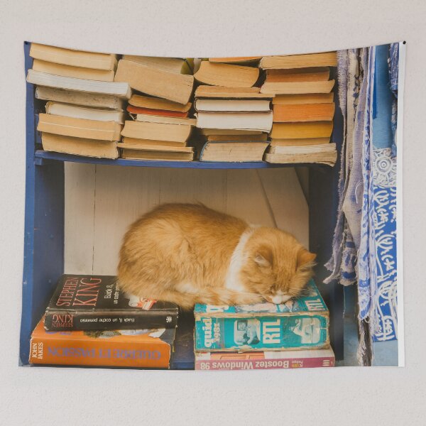 Item preview, orange cat napping in blue bookshelf  designed and sold by Rebecca Li.