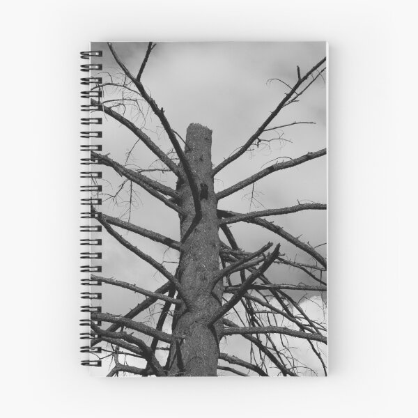 Item preview, Dead trees are beautiful designed and sold by Monkeypawsoup.