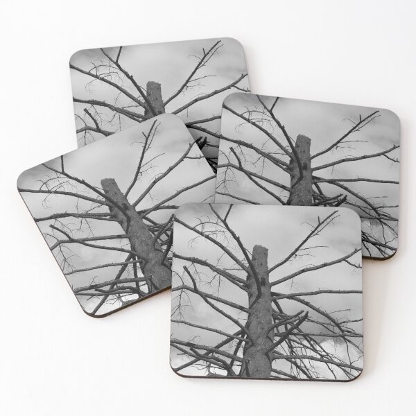 Item preview, Dead trees are beautiful designed and sold by Monkeypawsoup.