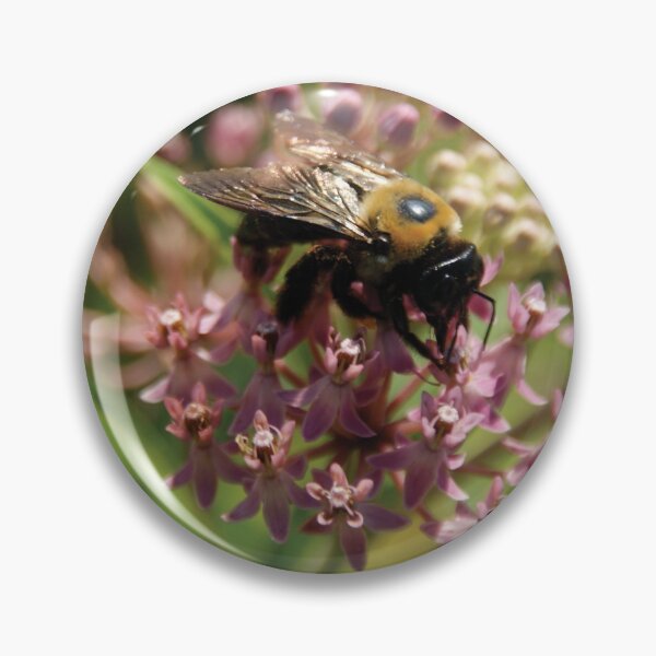 Item preview, Whoa lil Bumble Bee designed and sold by KensLensDesigns.