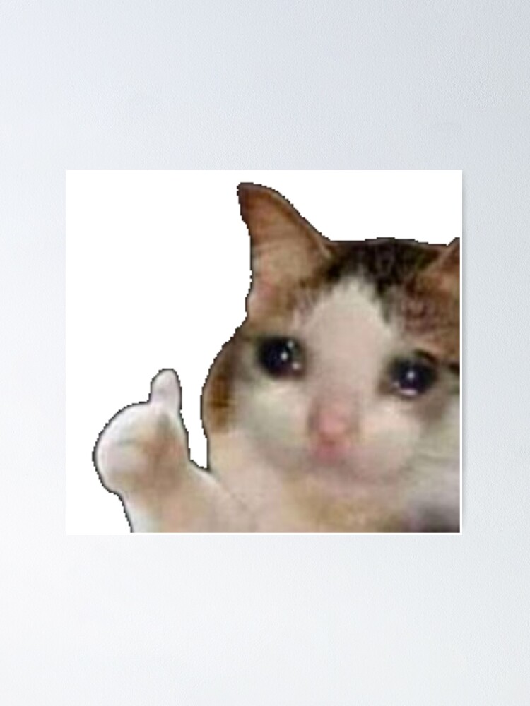 Cat Crying Thumbs Up Meme - Crying cat giving a thumbs up memes ...