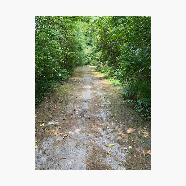 Item preview, Into the Forest - Image to complete the floor plan and widen narrow spaces designed and sold by ninesteps.