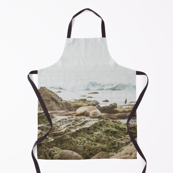 Item preview, Seal Napping in La Jolla, San Diego designed and sold by Rebecca Li.