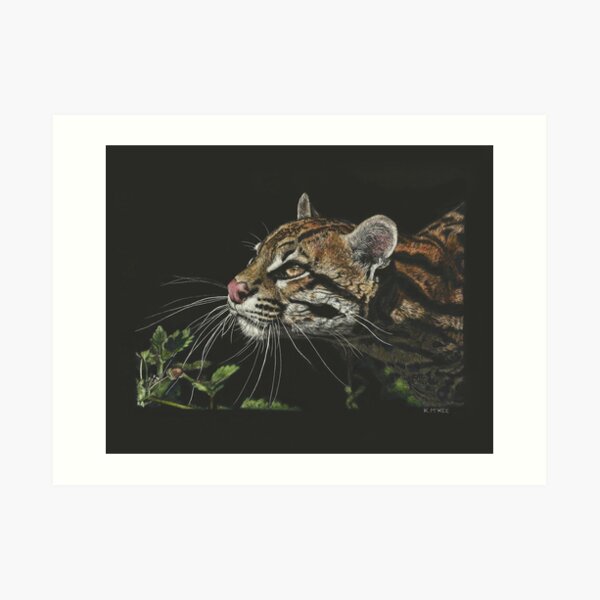 Whiskers In The Sunlight Art Print