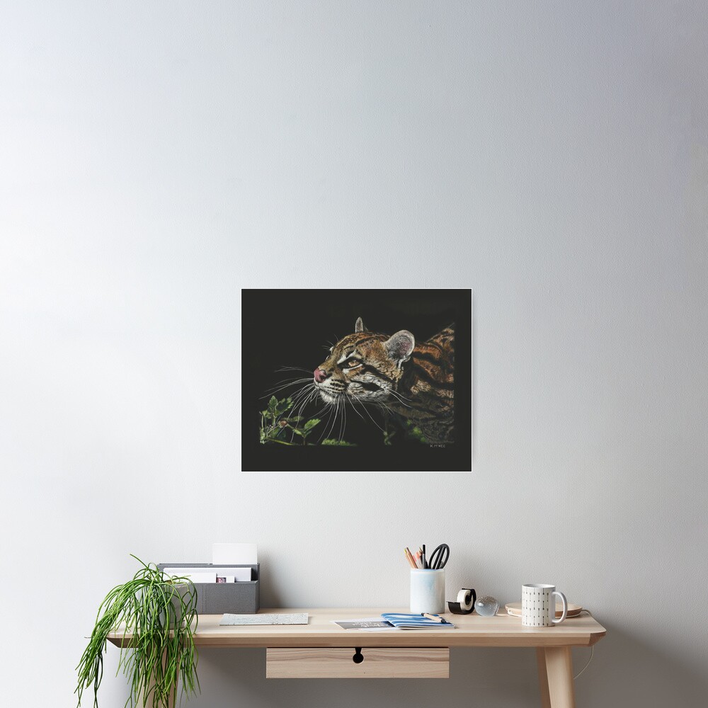 Whiskers In The Sunlight Poster