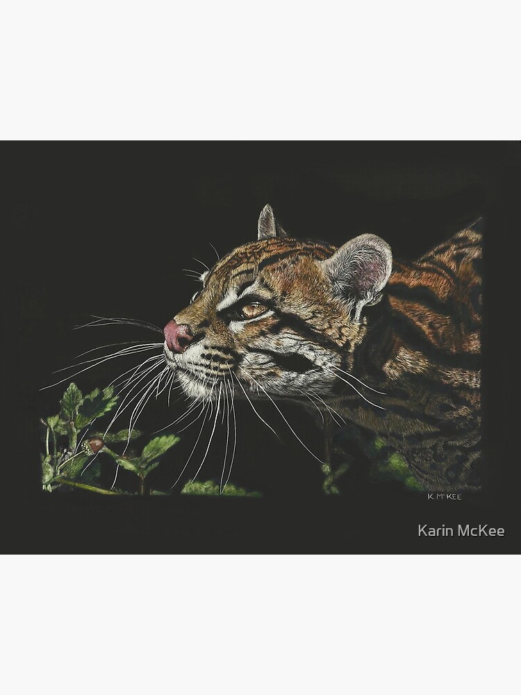 Whiskers In The Sunlight by kjmckee