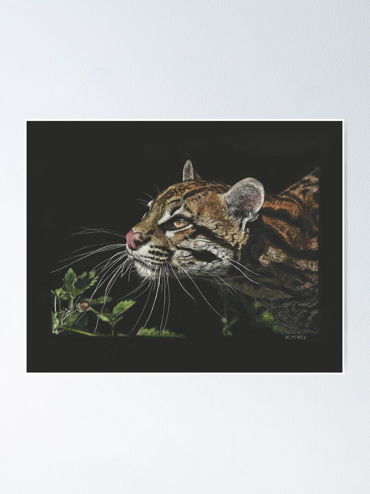 Alternate view of Whiskers In The Sunlight Poster