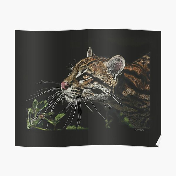 Whiskers In The Sunlight Poster