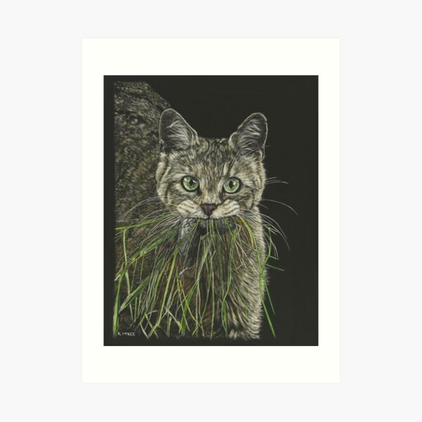 "What Mouse?" Art Print