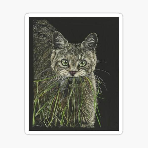 "What Mouse?" Sticker