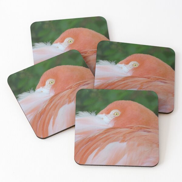 Artikelvorschau, Flamingo spähen entworfen und verkauft von ImmortalFoxy.