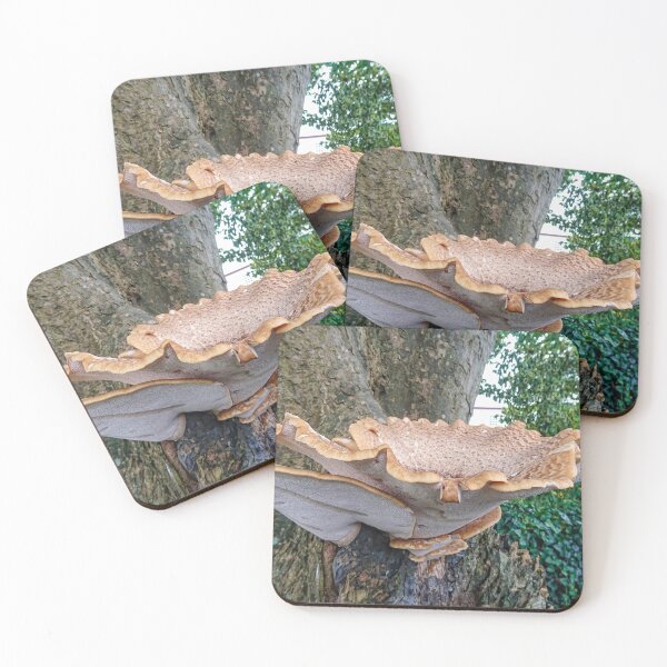 Item preview, Giant Fungi - Fowey, South Cornwall designed and sold by Marilyn Harris.