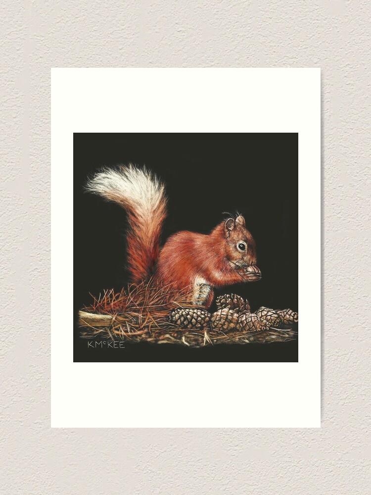 wide-eyed-and-bushy-tailed-art-print-for-sale-by-kjmckee-redbubble