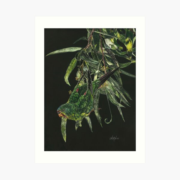 Find Me A Home Among The Gum Trees Art Print