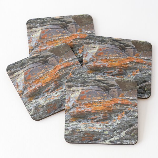Item preview, Lichens - Murphy Dome designed and sold by mahnkephotos.