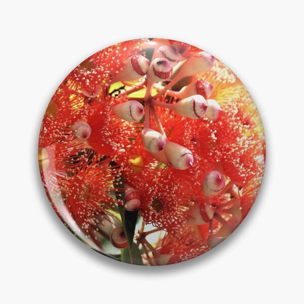 Item preview, Orange Eucalyptus Blossoms designed and sold by Martha Sherman.