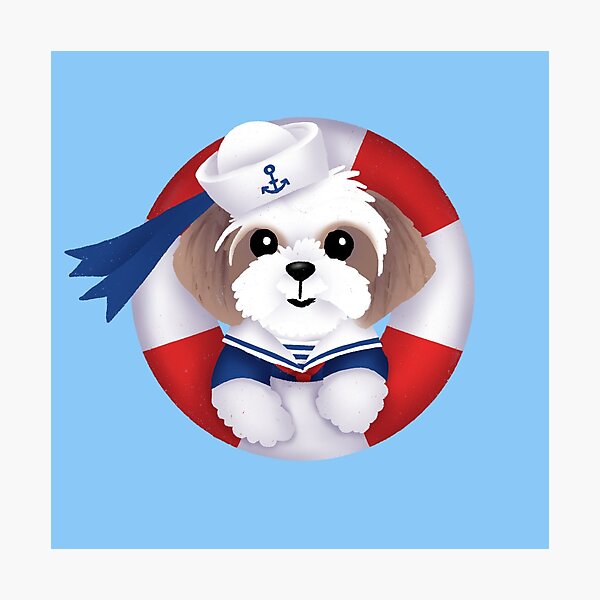 S is for Shih Tzu Sailor Photographic Print