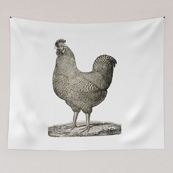 Item preview, Antique Rooster Portrait designed and sold by Bryson  Waind.