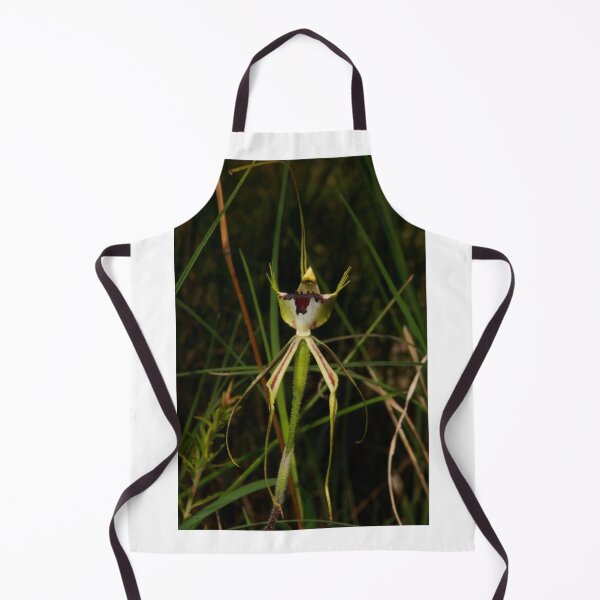 Item preview, Specimen Spider Orchid designed and sold by GP1746.