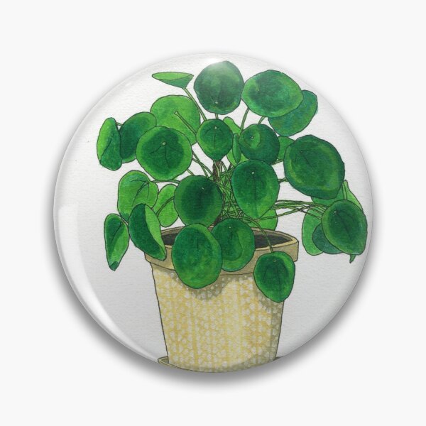 Item preview, Pilea in cream pot designed and sold by Sarah Sheldon.