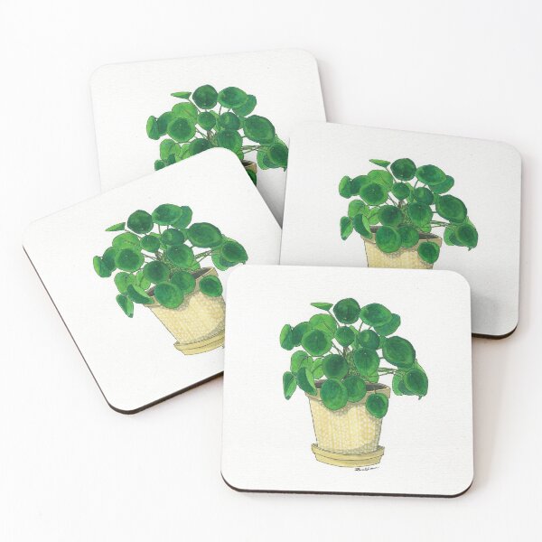Item preview, Pilea in cream pot designed and sold by Sarah Sheldon.