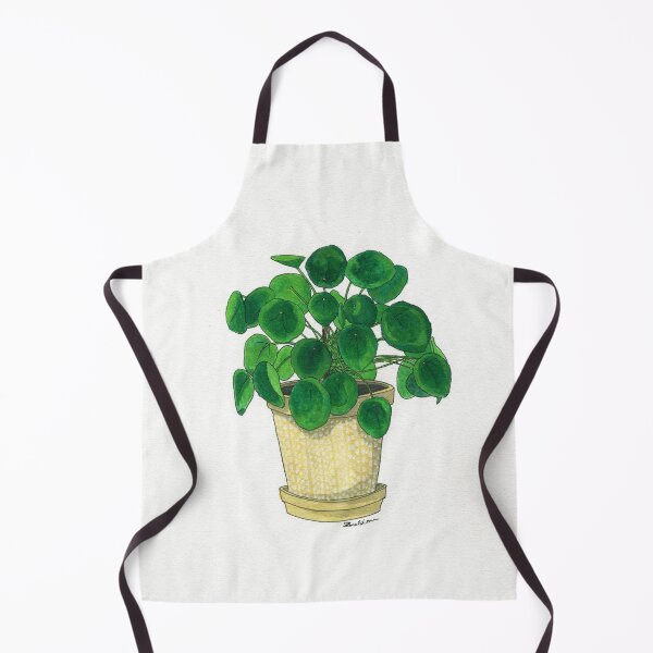 Item preview, Pilea in cream pot designed and sold by Sarah Sheldon.