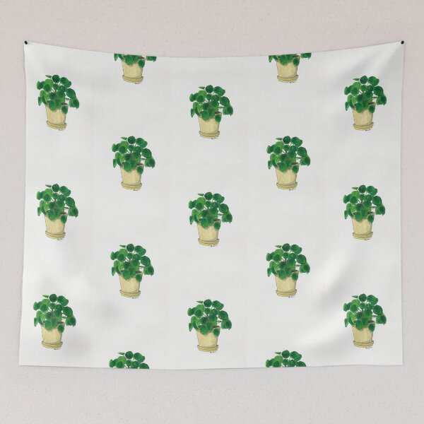 Item preview, Pilea in cream pot designed and sold by Sarah Sheldon.