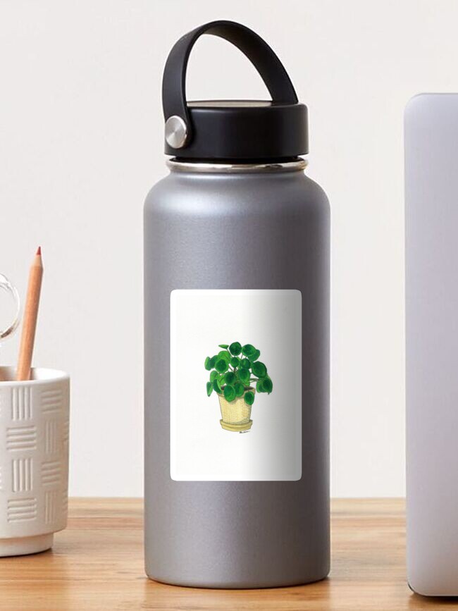 Thumbnail 1 of 3, Sticker, Pilea in cream pot designed and sold by Sarah Sheldon.