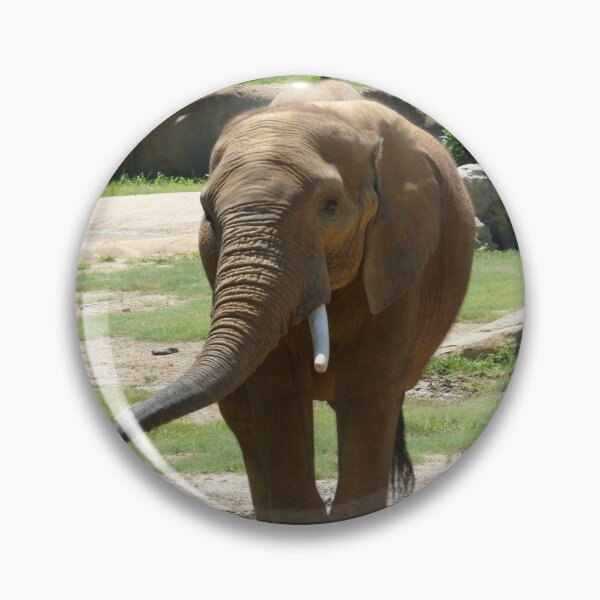 Item preview, Walking Elephant designed and sold by ImmortalFoxy.