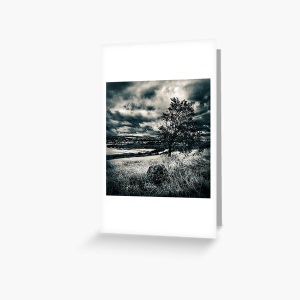 Item preview, Ravo Tree in Monotone designed and sold by Marcus Salter.