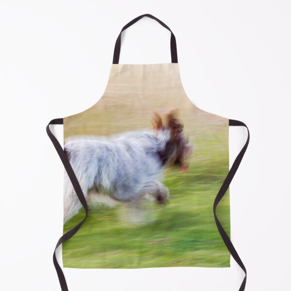 Item preview, Brown Roan Italian Spinone Dog in Action designed and sold by FOLK ART FUSION by heidiannemorris.