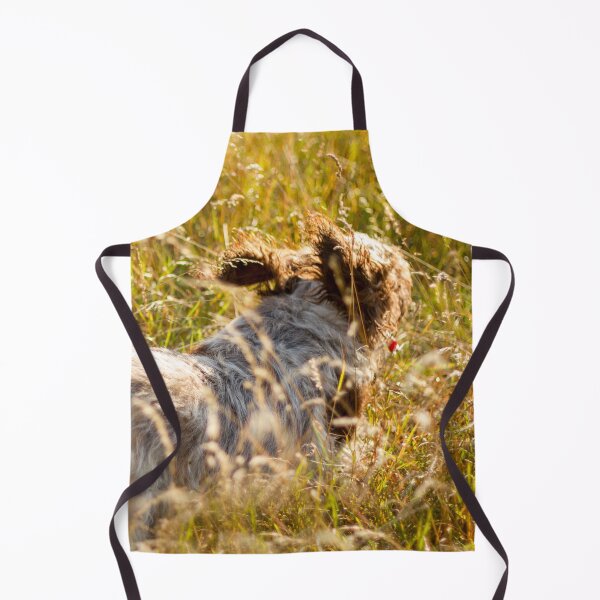 Item preview, Follow my tail Spinone designed and sold by FOLK ART FUSION by heidiannemorris.