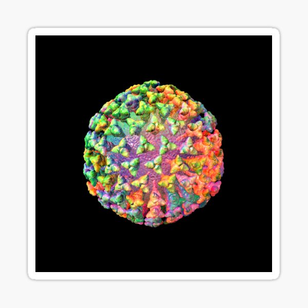 Coronavirus Rainbow on Black Sticker