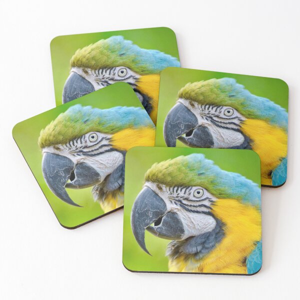 Item preview, Blue and Gold Macaw Profile designed and sold by richardbryce.