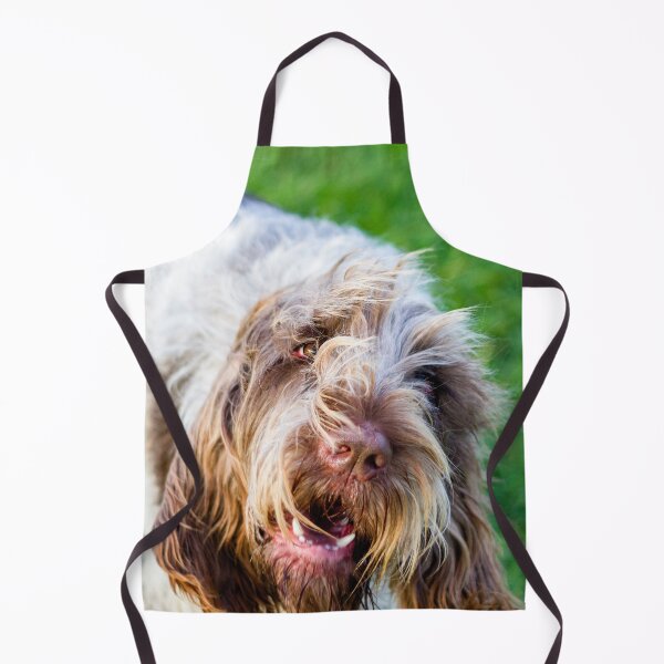 Item preview, Chatty Spinone designed and sold by FOLK ART FUSION by heidiannemorris.