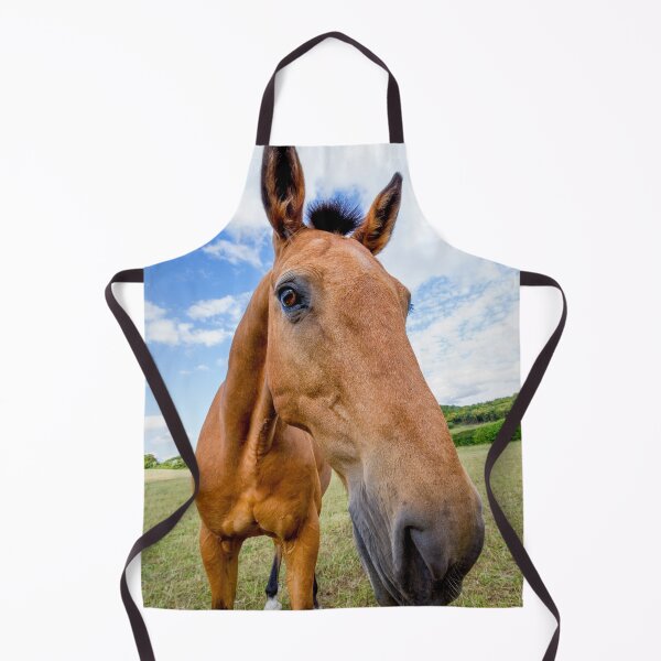 Item preview, Horse of a Dun Colour designed and sold by FOLK ART FUSION by heidiannemorris.