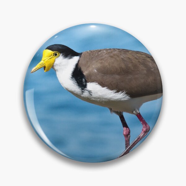 Item preview, Australian plover 893 designed and sold by kevin Chippindall.