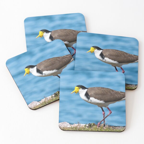 Item preview, Australian plover 893 designed and sold by kevin Chippindall.