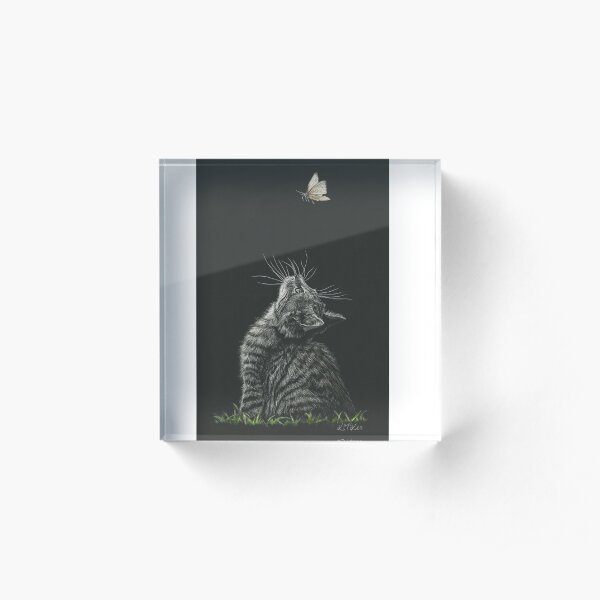 What's That? Acrylic Block