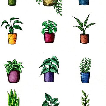 Artwork thumbnail, Assorted Mini Potted Plants by Sarah Sheldon