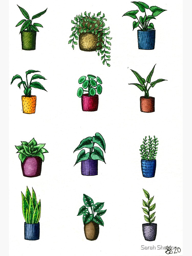 Thumbnail 3 of 3, Sticker, Assorted Mini Potted Plants designed and sold by Sarah Sheldon.