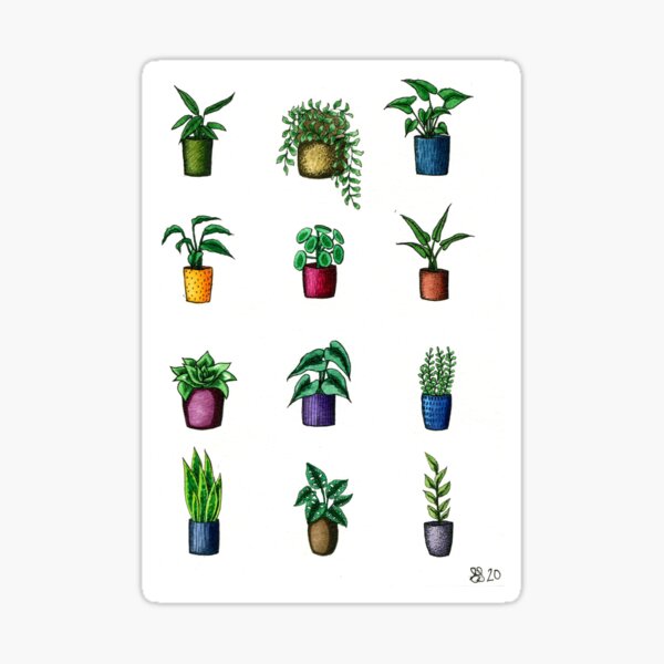 Assorted Mini Potted Plants Sticker