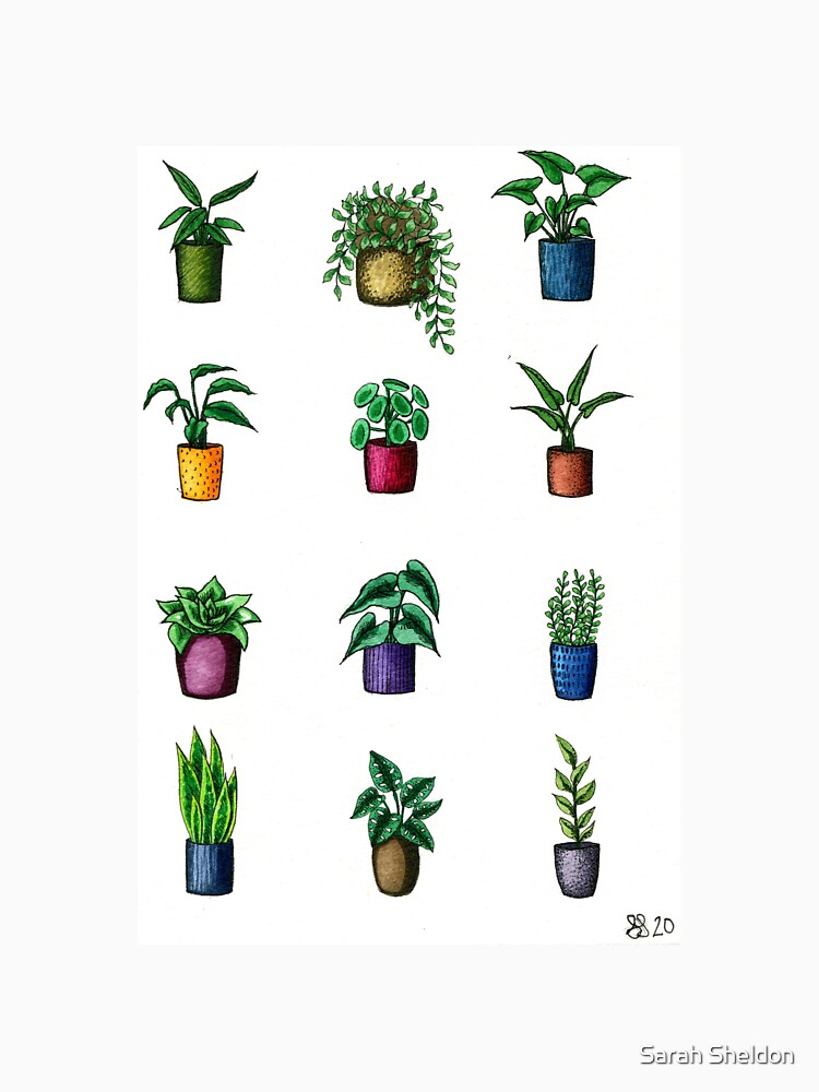 Assorted Mini Potted Plants by avibrantnest