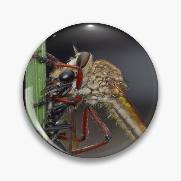 Item preview, Robber fly 67 designed and sold by kevin Chippindall.