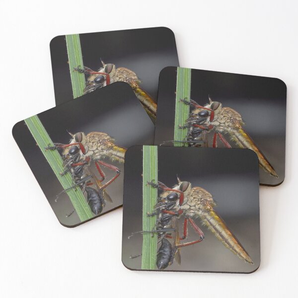 Item preview, Robber fly 67 designed and sold by kevin Chippindall.