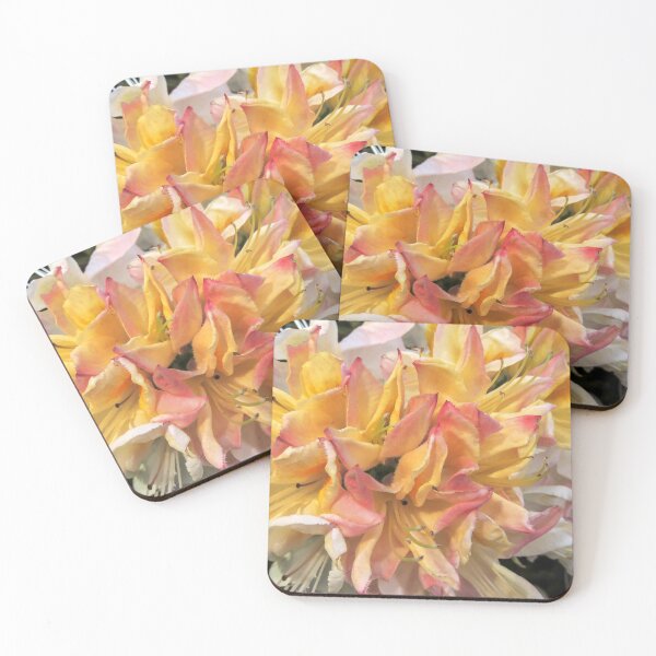Item preview, Azalea 'SYLPHIDES' designed and sold by Marilyn Harris.