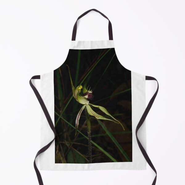 Item preview, Early Spider Orchid designed and sold by GP1746.